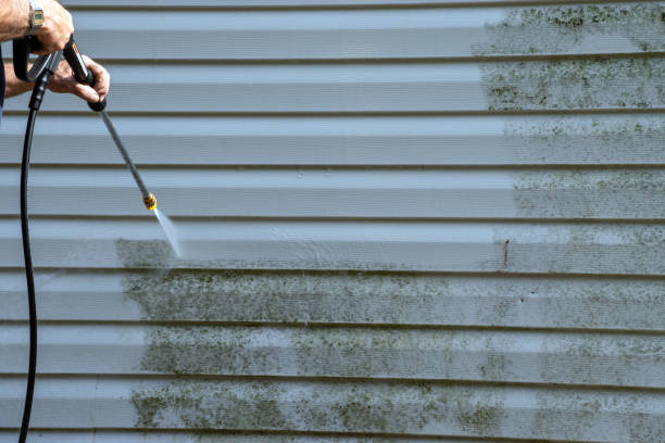Best Siding for Commercial Buildings  in Parksdale, CA