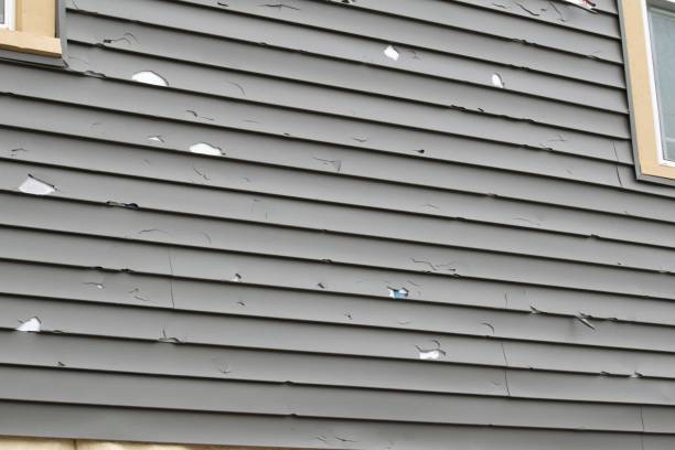 Best Insulated Siding Installation  in Parksdale, CA