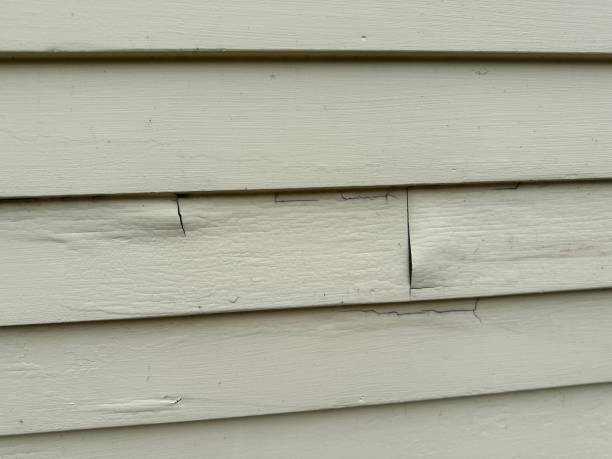 Best Stucco Siding  in Parksdale, CA